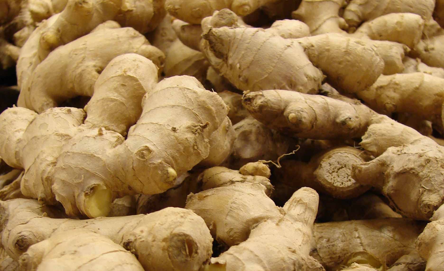 sample-image