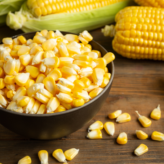 maize-img